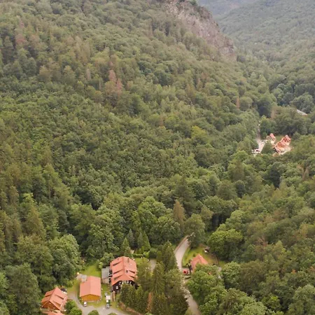 Ferienhaeuser Am Brocken, 80 Qm 3 Schlafzimmer 別荘 イルセンブルク