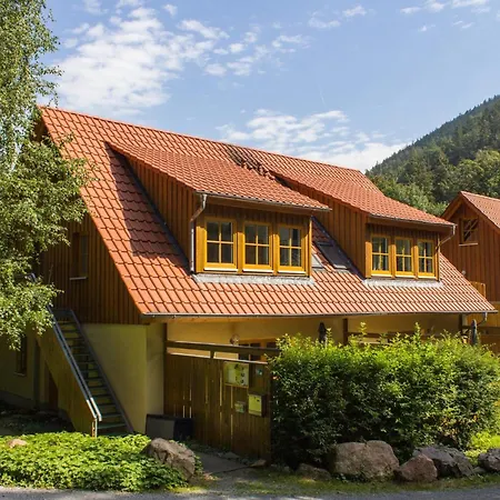 Holiday home Ferienhaeuser Am Brocken, 80 Qm 3 Schlafzimmer