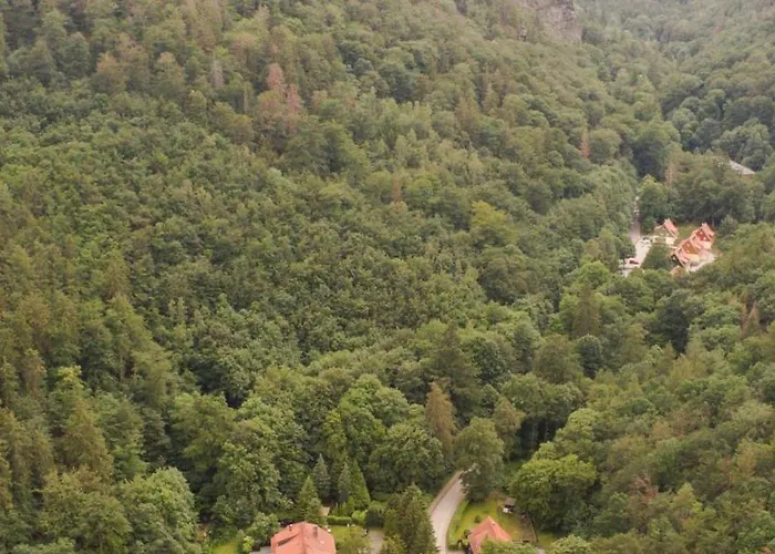 Ferienhaeuser Am Brocken, 80 Qm 3 Schlafzimmer 度假居 伊尔森堡